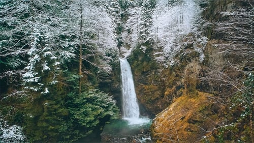Majestic Waterfall Flowing in Snowy Winter Forest