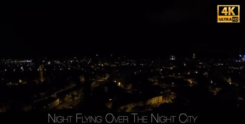 Night Flying Over The Night City 5