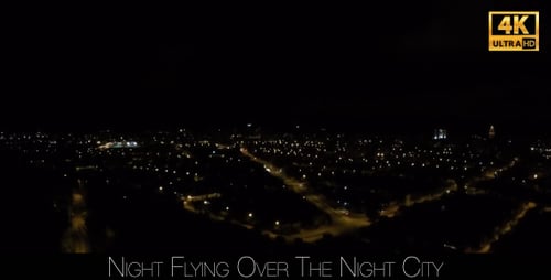 Night Flying Over The Night City 6
