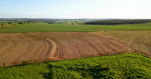 Land vorbereitet für den Anbau von Zuckerrohr- und Zuckerrohrfeldern im Südosten Brasiliens. Luftbild reisen