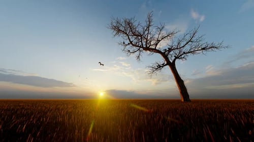 Vogellandschaft, die um einen trockenen Baum fliegt, Sonnenuntergang