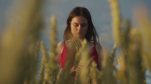 Young Woman Holding Wheat in Golden Field