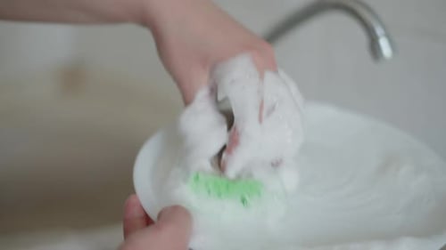 Hands Washing Plate With Green Sponge and Soap
