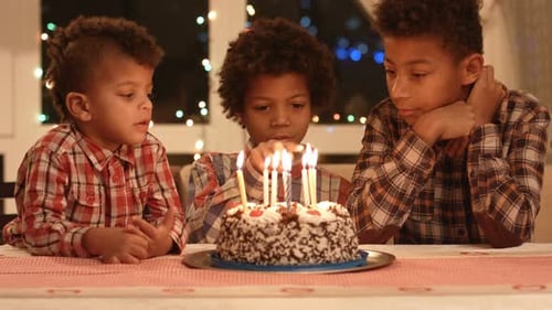 Three Boys Celebrate Birthday With Cake and Candles
