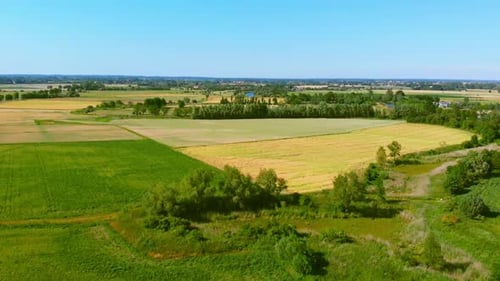 Agricultural field