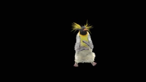 Penguin Dancing HD