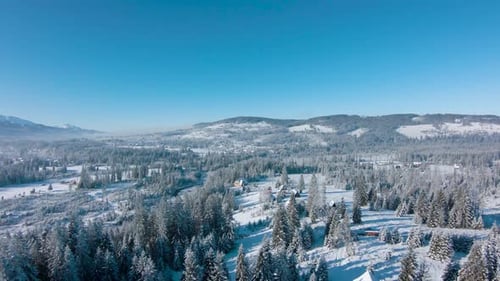 Flight Over a Fabulous Snowcovered Forest on the Slopes of the Mountains