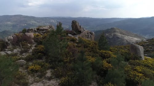Blick auf die ruhige Tierwelt der Natur