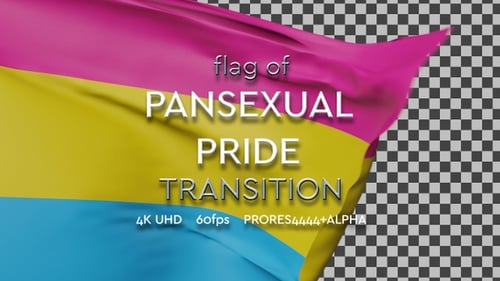 Waving Pansexual Pride Flag Reveal Transition