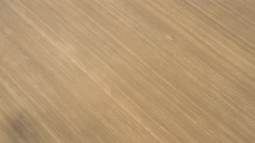 Descending over endless agricultural field by spring 4K drone video