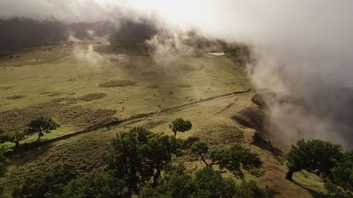 Aerial View of Fanal Forest on Madeira Island