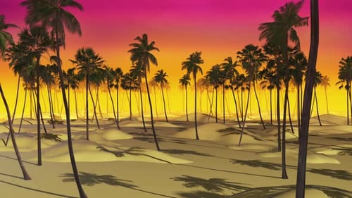 Summer Palm Sunset 01 4k