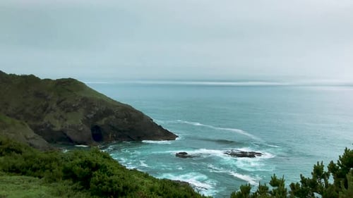 A panning view of cloud covered coastline with black rocks in the water, over brush and trees. Port