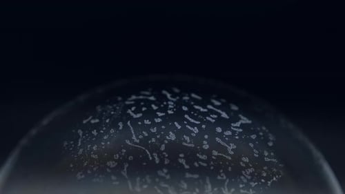 Soap bubbles isolated on black background. Abstract soap bubbles with colorful reflections.