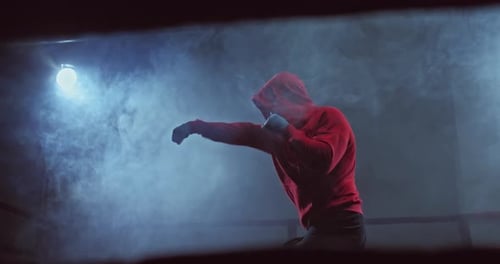 Boxer Training in Smoky, Softly Lit Environment