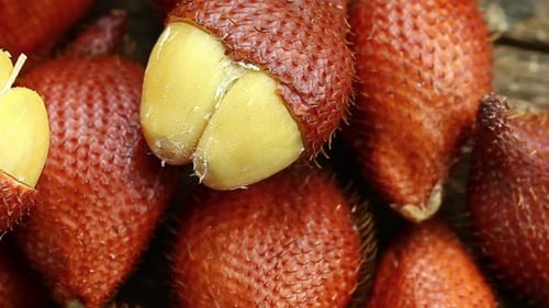 Close up of Salak Snake Fruit Pile