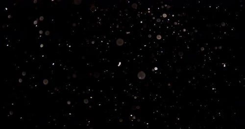 Sparkling Dust Particles Floating on Black Background