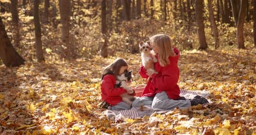 Girls with Dogs Sitting on Blanket in the Woods