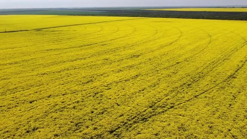 Aerial view drone. Beautiful idyllic nature aerial forward motion view over agricultural countryside