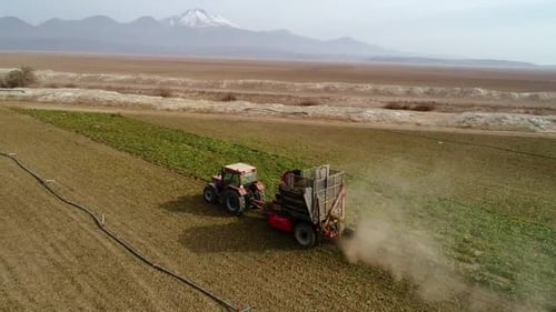 Tractor Harvesting Beets in Rural Field Aerial View