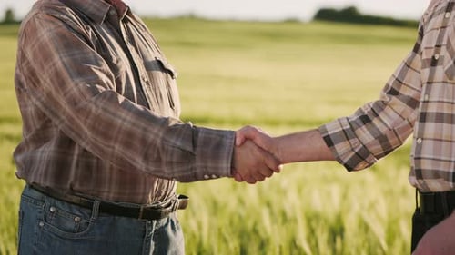 Two Adults Shaking Hands in Rural Green Field