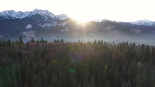Wonderful Landscape