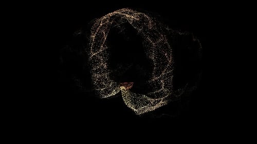 Gehirn-Scan Hilight