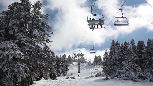 Bosque cubierto de nieve y telesquí