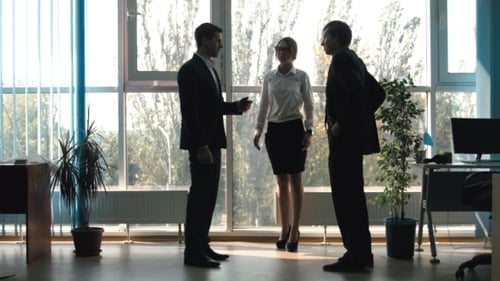 Business Colleagues Talking in Modern Office Setting