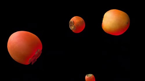 Floating Realistic Persimmons Fruit Overlay