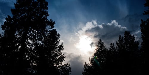 Clouds and Sun Over the Forest