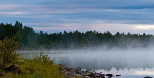 Mist Over the Lake