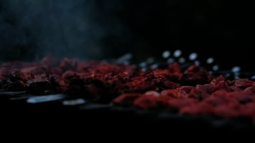 Meat Cooking on Barbecue Grill with Skewers