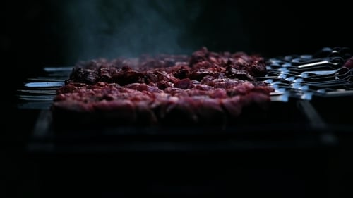 Cooking Meat Kebabs on a Charcoal Grill