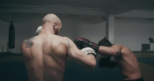 Kickboxing Mma Fighters In Training Session