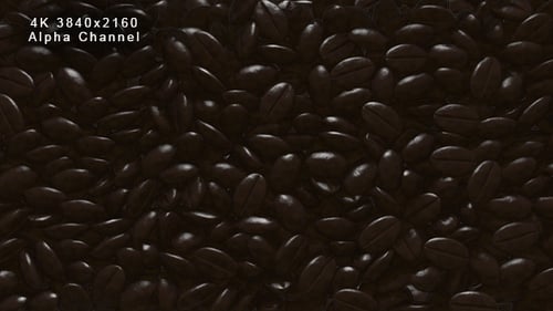 Realistic Coffee Beans Pouring Transition