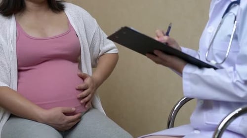 Pregnant Woman and Gynecologist Doctor at Hospital
