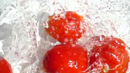 Tomato Falling 7