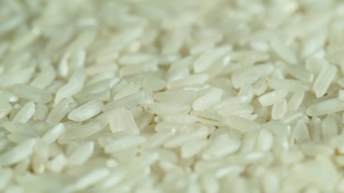 Close Up of Uncooked Rice Grains