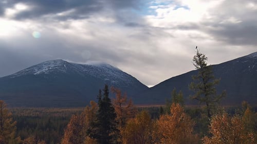 Mountains and Autumn Forest Scenic Landscape