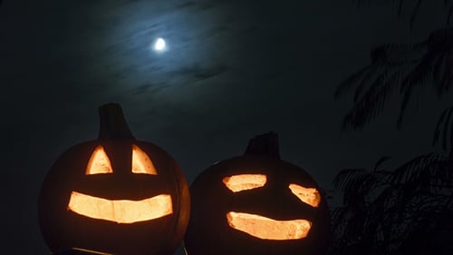 Illuminated Jack-O-Lanterns in the Night
