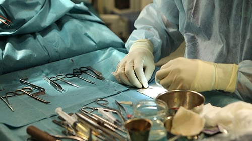 Surgeon Preparing Tissue Sample for Operation