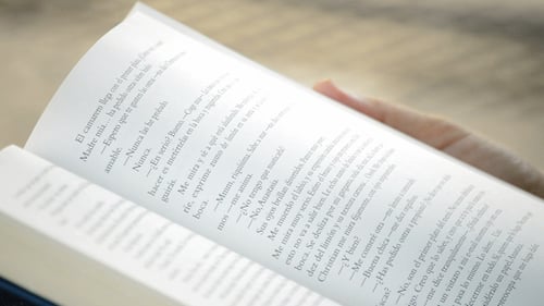 Person Reading Book in a Park