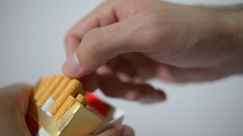 Hand Pulling Cigarette from New Pack Close Up