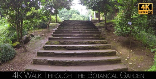 Walk Through The Botanical Garden 4