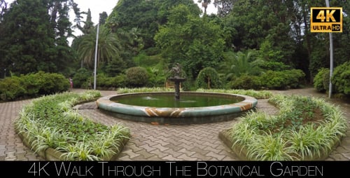 Walk Through The Botanical Garden 5