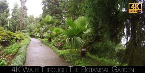 Walk Through The Botanical Garden 6