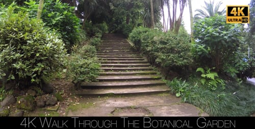 Walk Through The Botanical Garden 8
