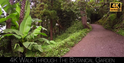 Walk Through The Botanical Garden 9