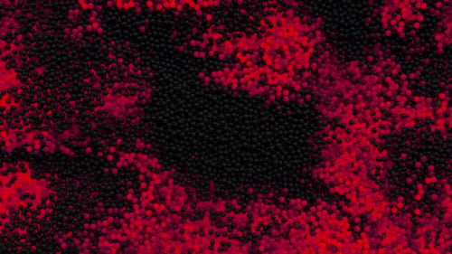 Sea Of Balls Rot